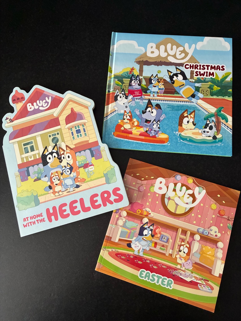 Bluey Children’s Book Bundle 3 Books